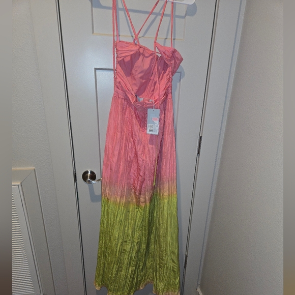 Antonio Melani Pink and Green Maxi Dress - Picture 4 of 6
